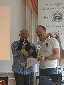 Bester Tricolor Rüde 2019